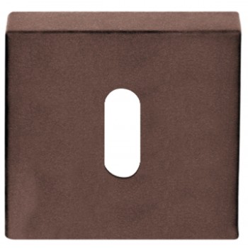 Sleutelplaatje D10V brons