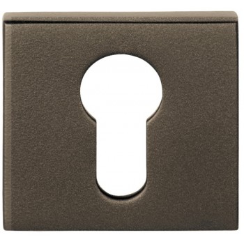 Cilinderplaatje D10V brons 