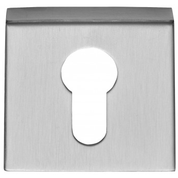 Cilinderplaatje D10V mat RVS