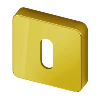 Sleutelrozet vierkant Gold BIOV