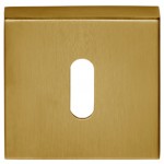 Sleutelplaatje Basic BSQN53 PVD mat goud