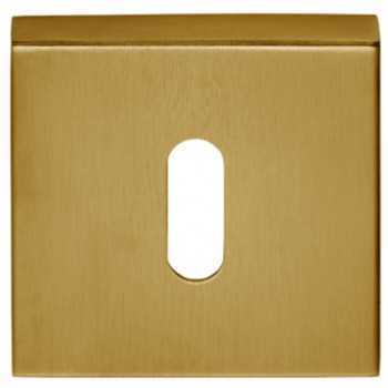 Sleutelplaatje Basic BSQN53 PVD mat goud