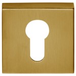 Cilinderplaatje Basic BSQY53 PVD mat goud