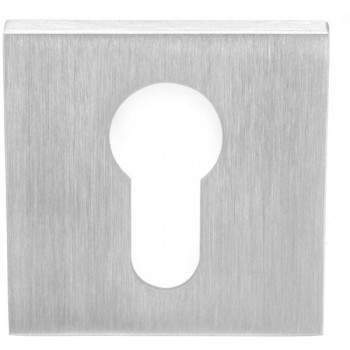 Cilinderplaatje LSQBY50 PVD mat RVS