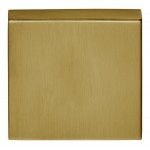 Blindplaatje Basic BSQN53 mat goud PVD