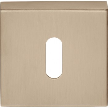 Sleutelplaatje D10V licht brons