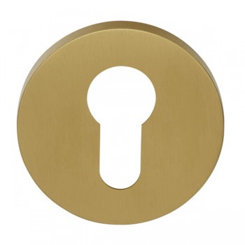 Cilinderplaatje Eclipse DRY53 PVD mat goud