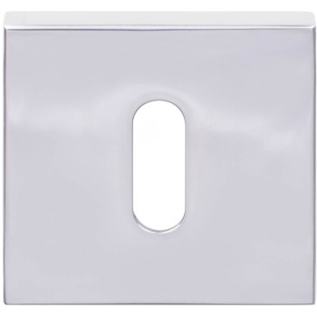 Sleutelplaatje LSQBN50 gepolijst mat RVS