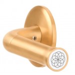 Deurkruk Nour EV101/64 rond rozet PVD mat goud