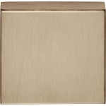 Blindplaatje Basic BSQN53 PVD licht brons 