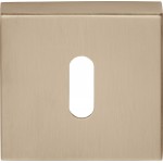 Sleutelplaatje Basic BSQN53 PVD licht brons 