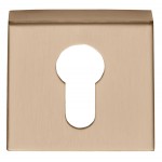 Cilinderplaatje Basic BSQY53 PVD licht brons 