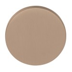 Blindplaatje Eclipse DRB53 PVD licht brons 