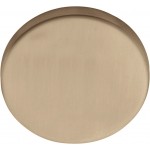 Blind plaatje Basic LBB50 PVD licht brons 