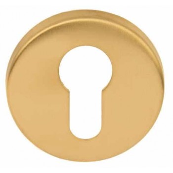 Cilinderplaatje Basic LBY50D goud PVD