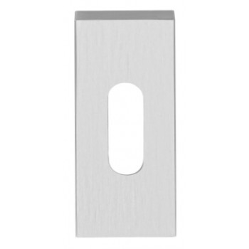 Sleutelplaatje LSQBN32 mat RVS en diverse finishes