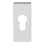 Cilinderplaatje LSQBY32 mat RVS en diverse finishes