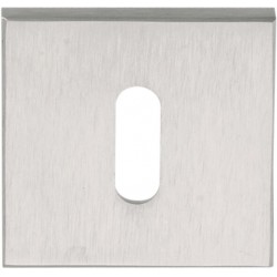 Sleutelplaatje LSQBN50 mat RVS