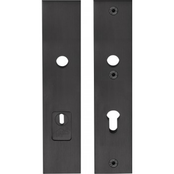 Veiligheidsschild LSQSM-50KT PC72 PVD mat zwart