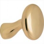 Knop Paddestoel tbv SKG schild messing gepolijst gelakt titaan