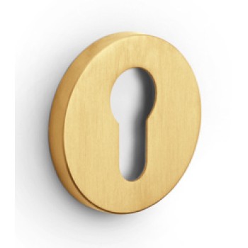 Cilinderplaatje ELEEZ ZHY53 PVD mat goud