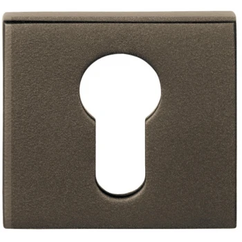 Cilinderplaatje D10V brons Cilinderplaatje D10V brons