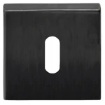 Sleutelplaatje Basic BSQN53 PVD gunmetal