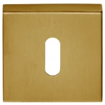 Sleutelplaatje Basic BSQN53 PVD mat goud
