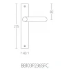 Deurkruk op schild Tense BB103P236 mat RVS