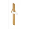 Deurkruk schild Nour EV100P210SFC PVD mat goud/wit