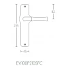 Deurkruk schild Nour EV100P210SFC PVD mat goud/wit