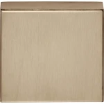 Blindplaatje Basic BSQN53 PVD licht brons 