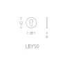 Cilinderplaatje Basic LBY50 koper PVD
