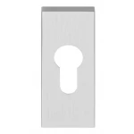 Cilinderplaatje LSQBY32 mat RVS en diverse finishes