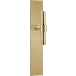 Deurkruk op schild Piet Boon ONE PBT15P236 PVD mat goud